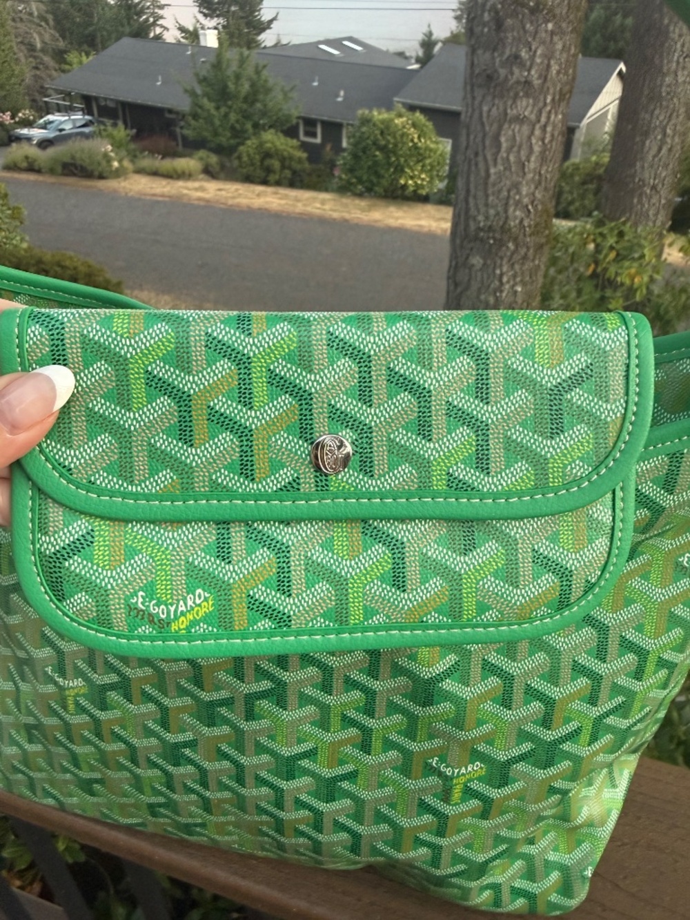 Goyard Meadow Green Boheme PM Hobo Bag - Read Description - Picture 8 of 13